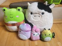 Squishmallows - Connor, Wendy, Kirsty, Minya, My Melody Sachsen - Limbach-Oberfrohna Vorschau