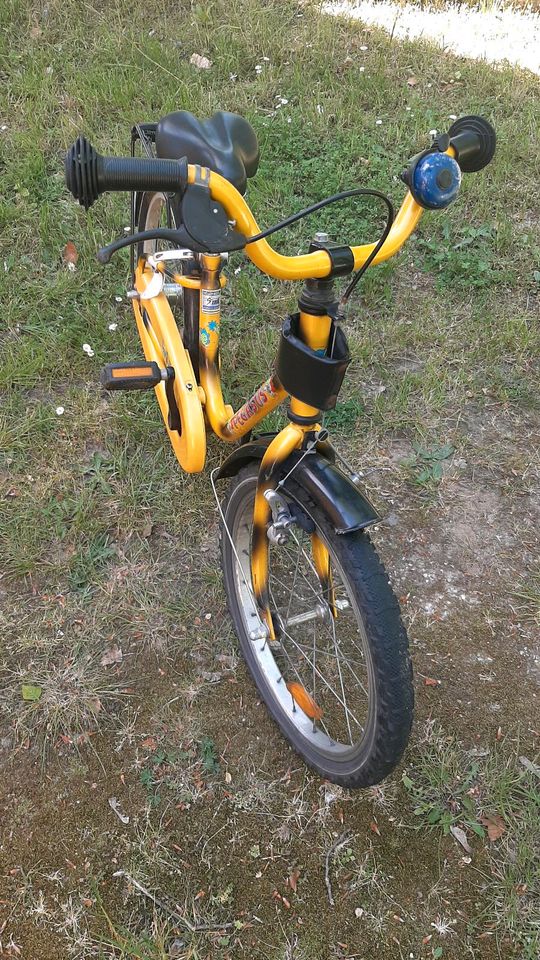 Kinderfahrrad "Pegasus" Fahrrad Kinder in Berlin