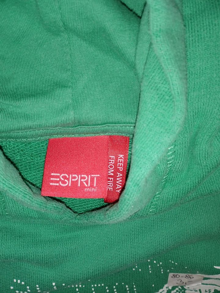 Pullover Hoodie Größe 80/86 Esprit Mini in Wadgassen