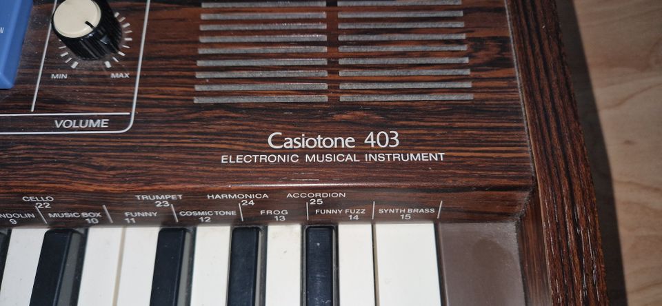 Casio Keyboard - Casiotone 403 in Ichenhausen
