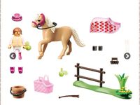 Playmobil Country Set mit Pferd Brandenburg - Cottbus Vorschau