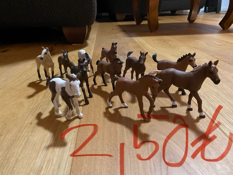 Diverse Schleich Pferde (17 Stück) in Hamersen