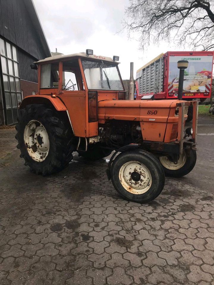 Fiat 850 Traktor Schlepper in Emlichheim