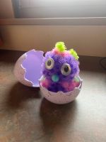 Spin Master Bunchems Hatchimals Saarland - Lebach Vorschau