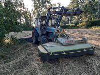 Spende für EICHER 3085 Traktor Viel Arbeit wenig Geld Hessen - Biebesheim Vorschau