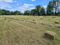 Heu kleine Bunde 2023 - Pferd, Kaninchen, Schafe, Ziege Bismark (Altmark) - Kläden Vorschau