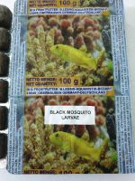 Schwarze Mückenlarven, BLACK MOSQUITO Frostfutter für Aquarium Fi Nordrhein-Westfalen - Oberhausen Vorschau