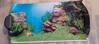 Aquarium Rückwand Fotorückwand zweiseitig bedruckt. Baden-Württemberg - Laupheim Vorschau