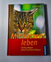 Buch Mit Katzen leben. Richtig pflegen, füttern und beschäftigen Köln - Raderberg Vorschau