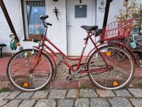 Fahrrad DDR ifa 26 Zoll original Sachsen-Anhalt - Meisdorf Vorschau