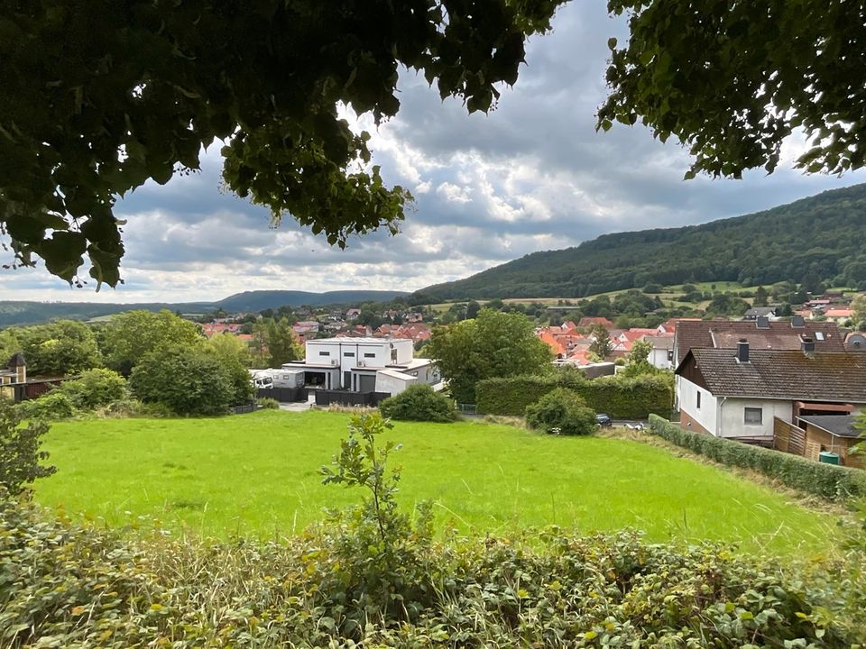 Charmantes großes Einfamilienhaus mit modernem Komfort: Historisches Flair in Weißenborn, Hessen 210 qm in Weißenborn