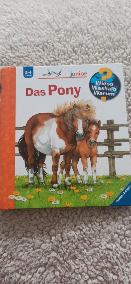 Bücher Kleinkinder - Peppa Pig - Wieso Weshalb Warum in Isernhagen