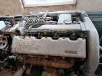 MAN LKW Oldtimer 13.304 256 V8 Motor 2858 MX Rheinland-Pfalz - Selters Vorschau