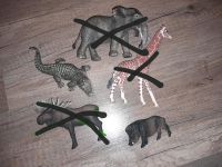 Schleich  Wildschwein Krokodil Niedersachsen - Reppenstedt Vorschau