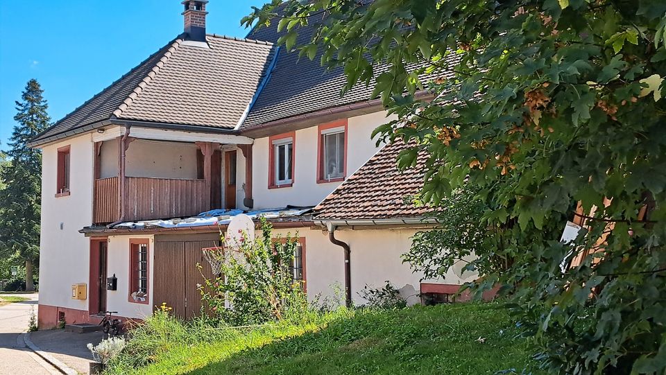 Bauern-Hof viel Platz f. Wohnprojekt Mehrgenerationen Tierhaltung in Laufenburg (Baden)