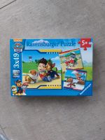 Puzzle Paw Patrol 3×49 Teile 5Jahre Rheinland-Pfalz - Kastellaun Vorschau