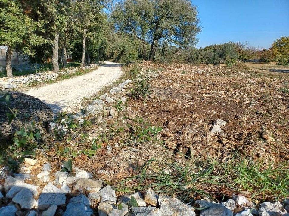 Bauplatz Grundstück von privat am Meer Sukosan bei Zadar 1743 qm in Schönaich