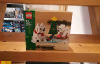 LEGO(Händler) 40571 - Eisbären im Winter - Neu Sachsen - Rochlitz Vorschau