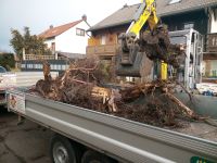 Baum - Hecke und Wurzelstockentfernung / Baggerarbeiten Bayern - Fischach Vorschau