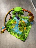 Spielbogen Fisher Price Nordrhein-Westfalen - Iserlohn Vorschau