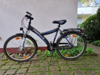 Damenfahrrad Pegasus Avanti 26Zoll Niedersachsen - Osnabrück Vorschau