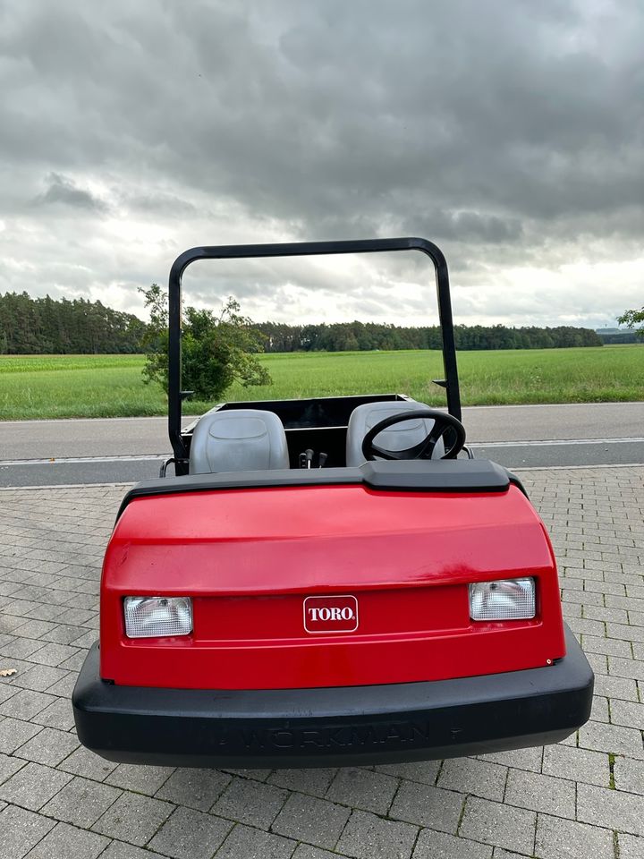 Toro Workman HDX 4WD Transportfahrzeug Gator in Weidenbach