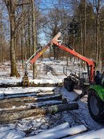 Stammholz Buche Bayern - Finningen Vorschau