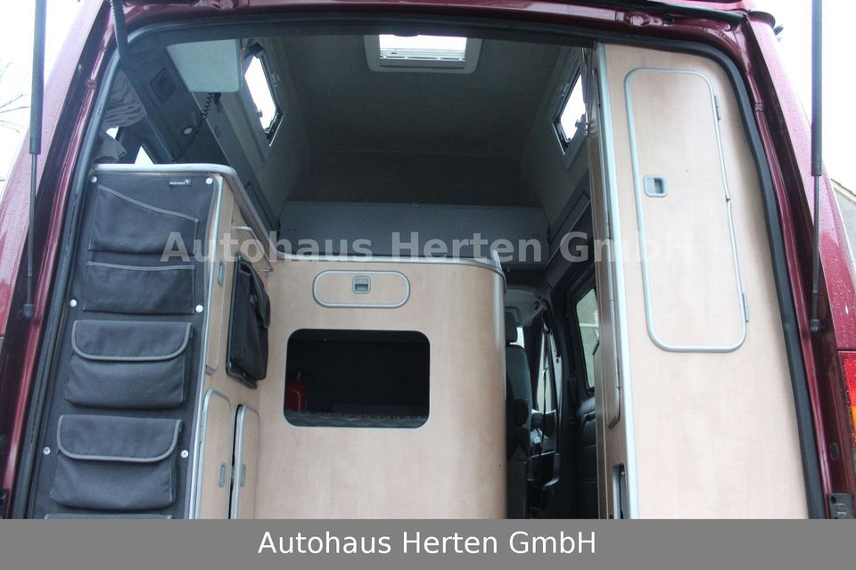 Westfalia FORD TRANSIT NUGGET WESTFALIA EUROLINE 2.0D in Herten