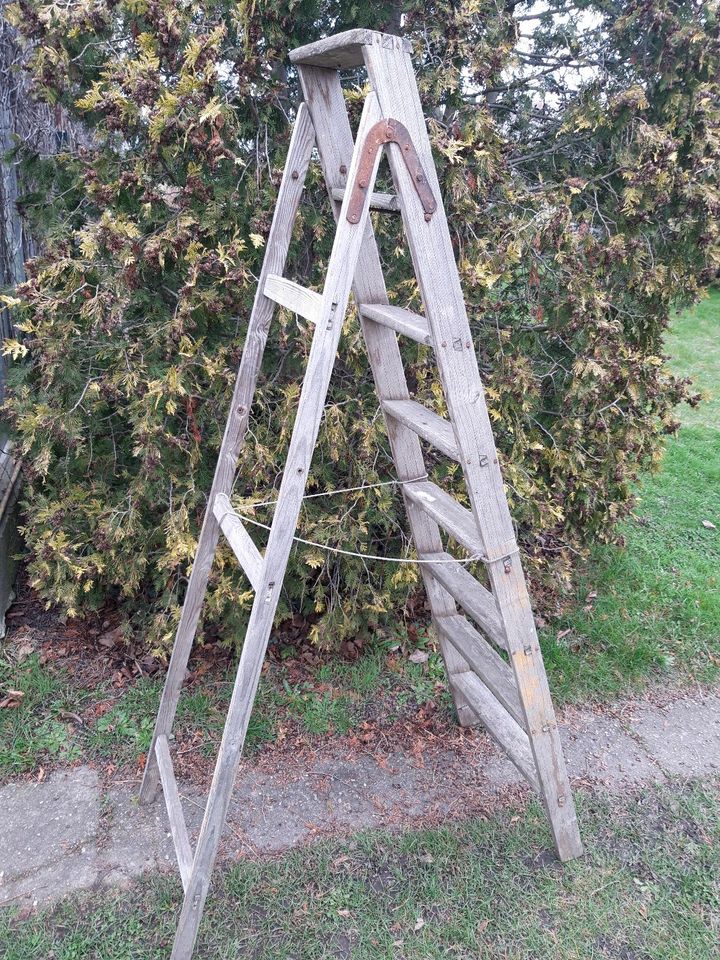 Holzleiter Stehleiter Blumenleiter ca 170cm in Radebeul
