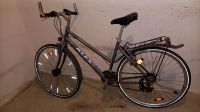 Damenfahrrad  28zoll Sachsen-Anhalt - Magdeburg Vorschau