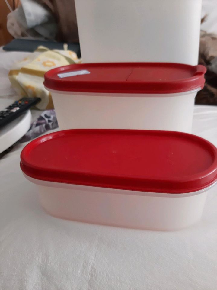 Tupperware mit Deckel in Bad Dürkheim