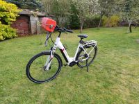 E-bike Pegasus Brandenburg - Welzow Vorschau