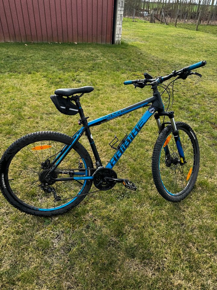 Haibike Edition 7.40 - 27,5 Zoll - Hardtail in Kalbe (Milde)