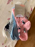 Neu Set Socken Pinguin Baby Gestreift Niedersachsen - Lehrte Vorschau