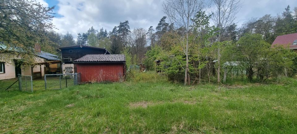 Doppelhaushälfte in Neuroofen Stechlin in Stechlin