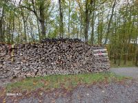 Brennholz Kaminholz Laubholz in Meterenden sofort heizbar Nordrhein-Westfalen - Beverungen Vorschau