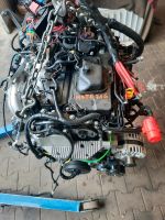 MOTOR 2.3D M9TF716 2.tkm RENAULT MASTER OPEL MOVANO Nordrhein-Westfalen - Schloß Holte-Stukenbrock Vorschau