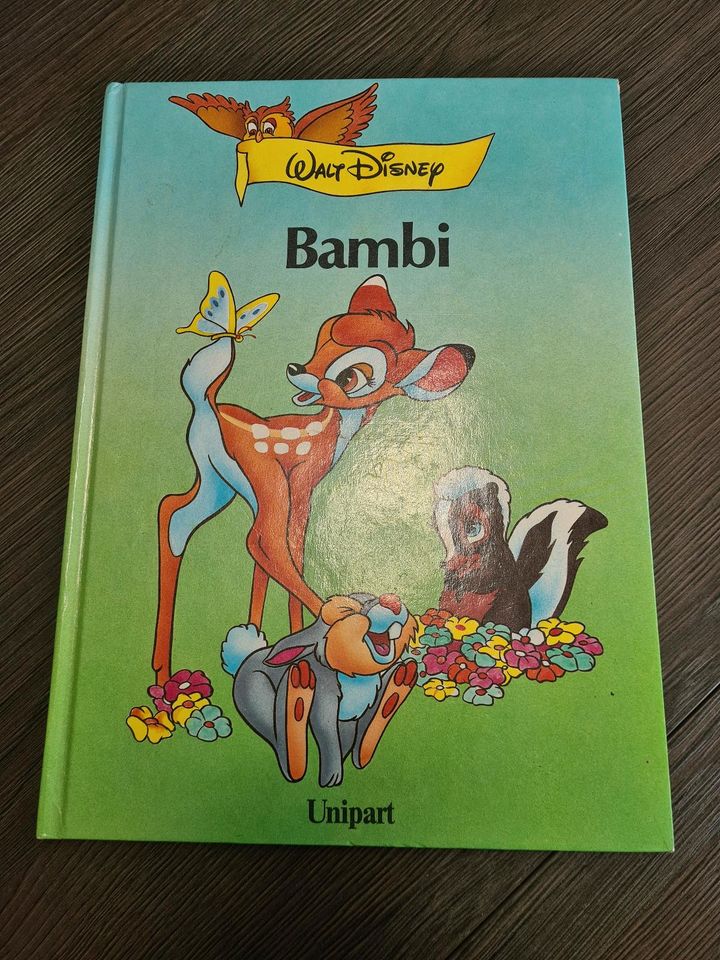 Disney Bücher Bambi Dornröschen Klopfer in Lohne