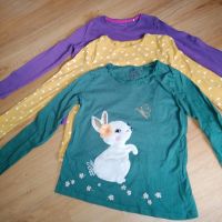 3 Stück Mädchen Kinder Langarm Shirts 128/134 Hessen - Groß-Umstadt Vorschau