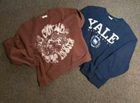 2 x Damen Sweatshirt Gr. M BERSHKA + PULLBEAR Bayern - Bad Wörishofen Vorschau