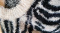 Mango Pullover Pelzeffekt flauschig neu mit Etikett! Berlin - Zehlendorf Vorschau