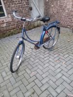 Gaselle  Basic Damen Fahrrad zu verkaufen Innenstadt - Köln Altstadt Vorschau