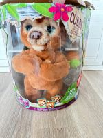 FurReal Cubby Mein Knuddelbär Schleswig-Holstein - Satrup Vorschau