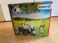 Schleich 42104 Waschplatz Nordrhein-Westfalen - Schieder-Schwalenberg Vorschau