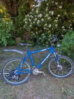 Giant Rock Se Fahrrad 26 Zoll Nordrhein-Westfalen - Detmold Vorschau