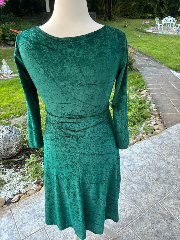 Süßes grünes Samtkleid, 42 in Brachttal