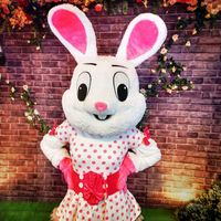 Osterhase Hase Kaninchen Maskottchen Kostüm Geburtstag Ostern Berlin - Steglitz Vorschau