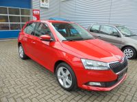 Skoda Fabia  ACTIVE 1.HAND NUR 40000 KM SCHECKHEFT Wuppertal - Barmen Vorschau