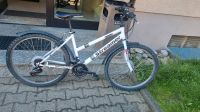 Fahrrad von Streamer Bayern - Albertshofen Vorschau
