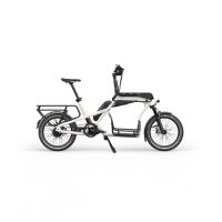 CaGo CS 200 City Utility Vehicle Cargobike Lastenrad Fahrrad Neu Niedersachsen - Aurich Vorschau